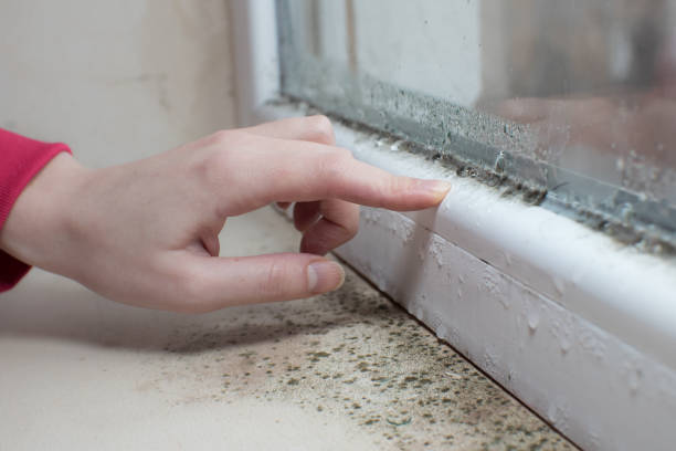 Best Emergency Mold Remediation  in Guthrie, OK