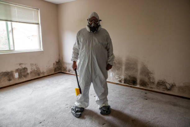 Best Mold Damage Restoration  in Guthrie, OK